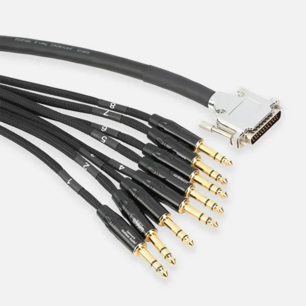 Warm Audio Prem-DB25-TRSm-10'